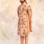 3D Element Sherwani